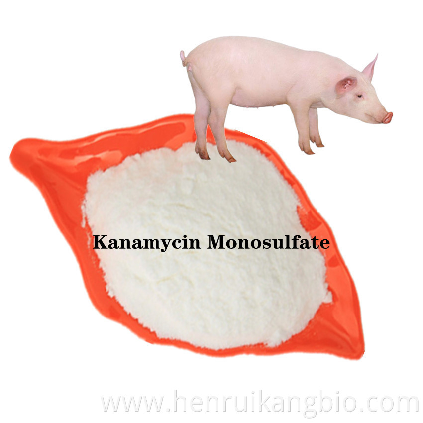 Kanamycin Monosulfate Powder